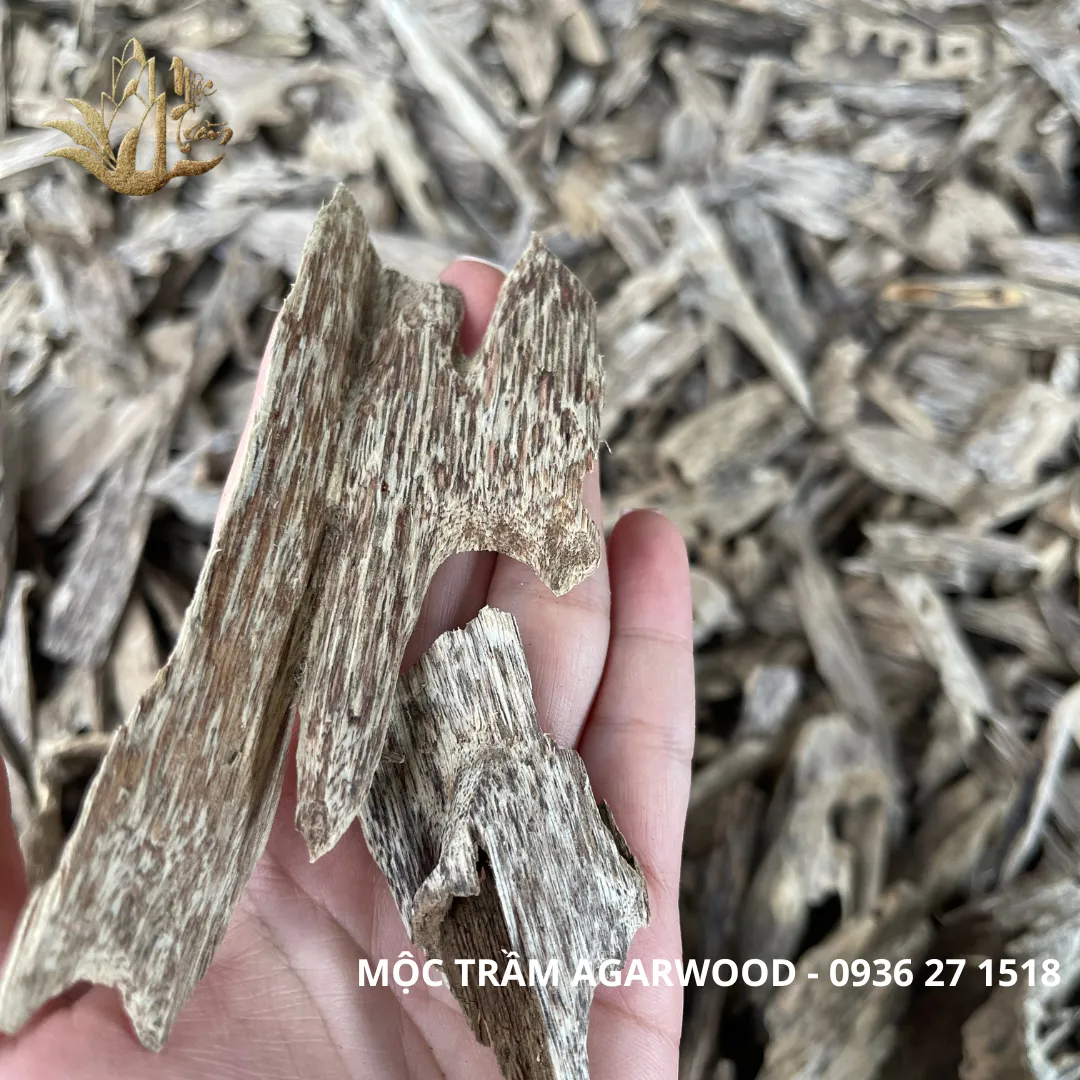 Natural Vietnamese Kien Xi Agarwood Chips – Resinous Oud Pieces (Multiple Weights Available)
